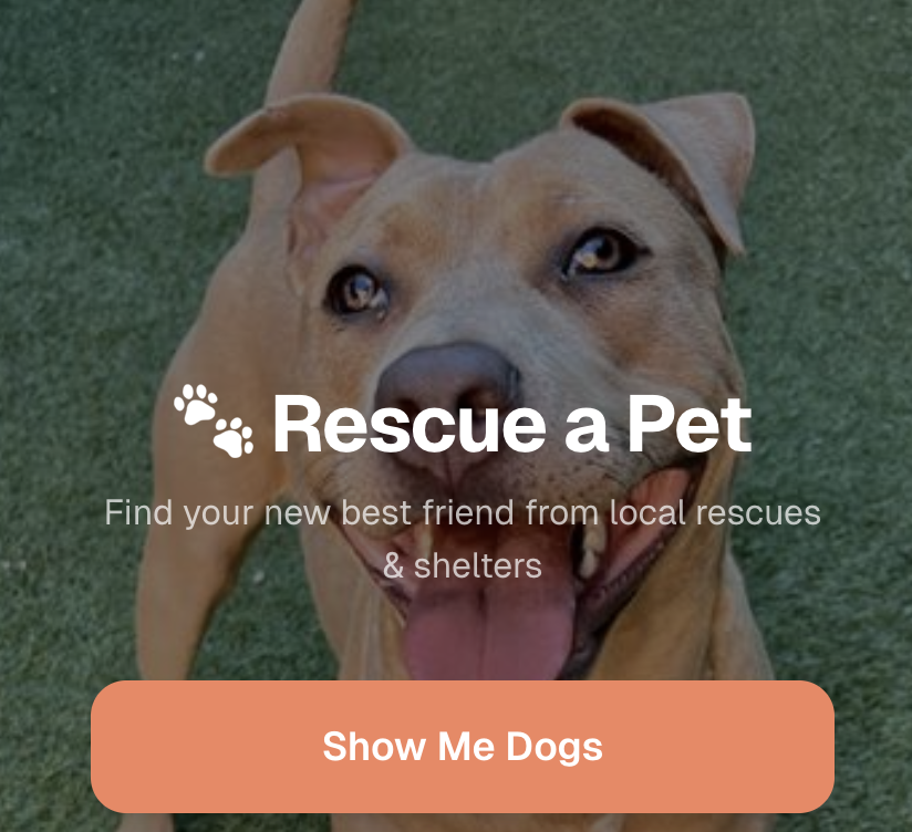 Find a Rescue Pet Near You